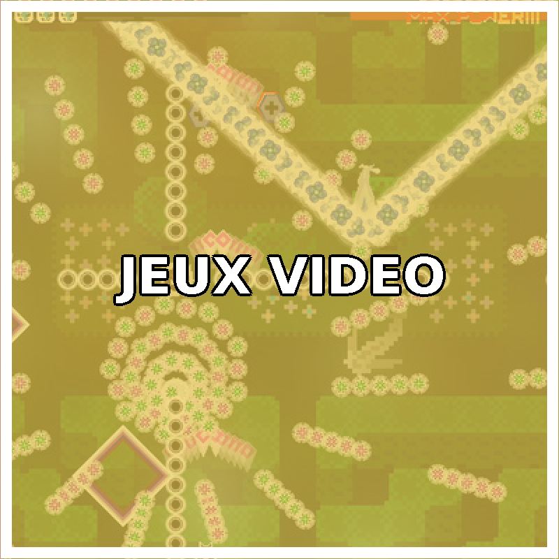 Jeux Video