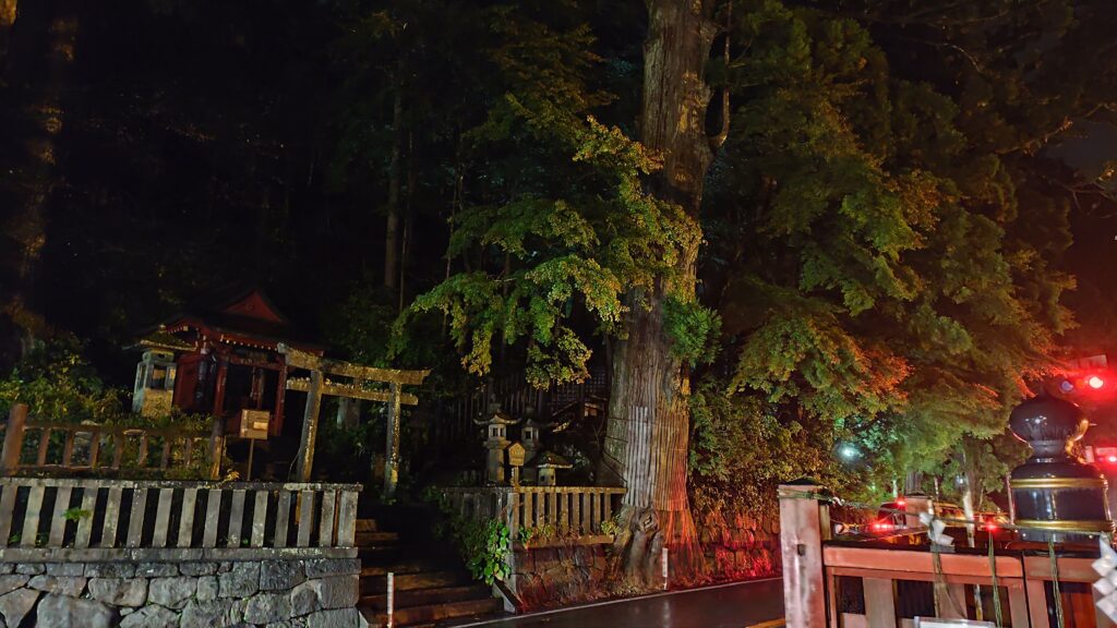 Une nuit au Japon mais je sais plus où